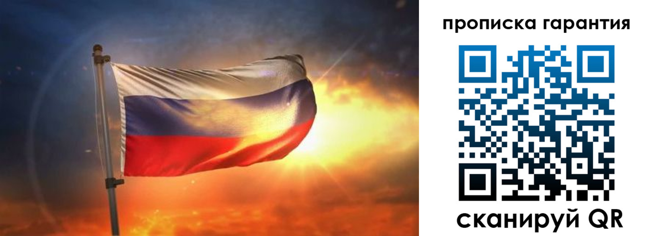 прописка для школы в Химках